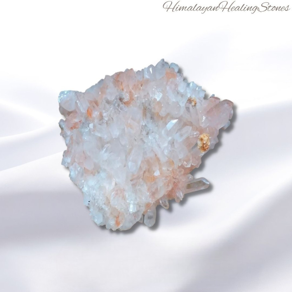 Himalayan Clear Cluster