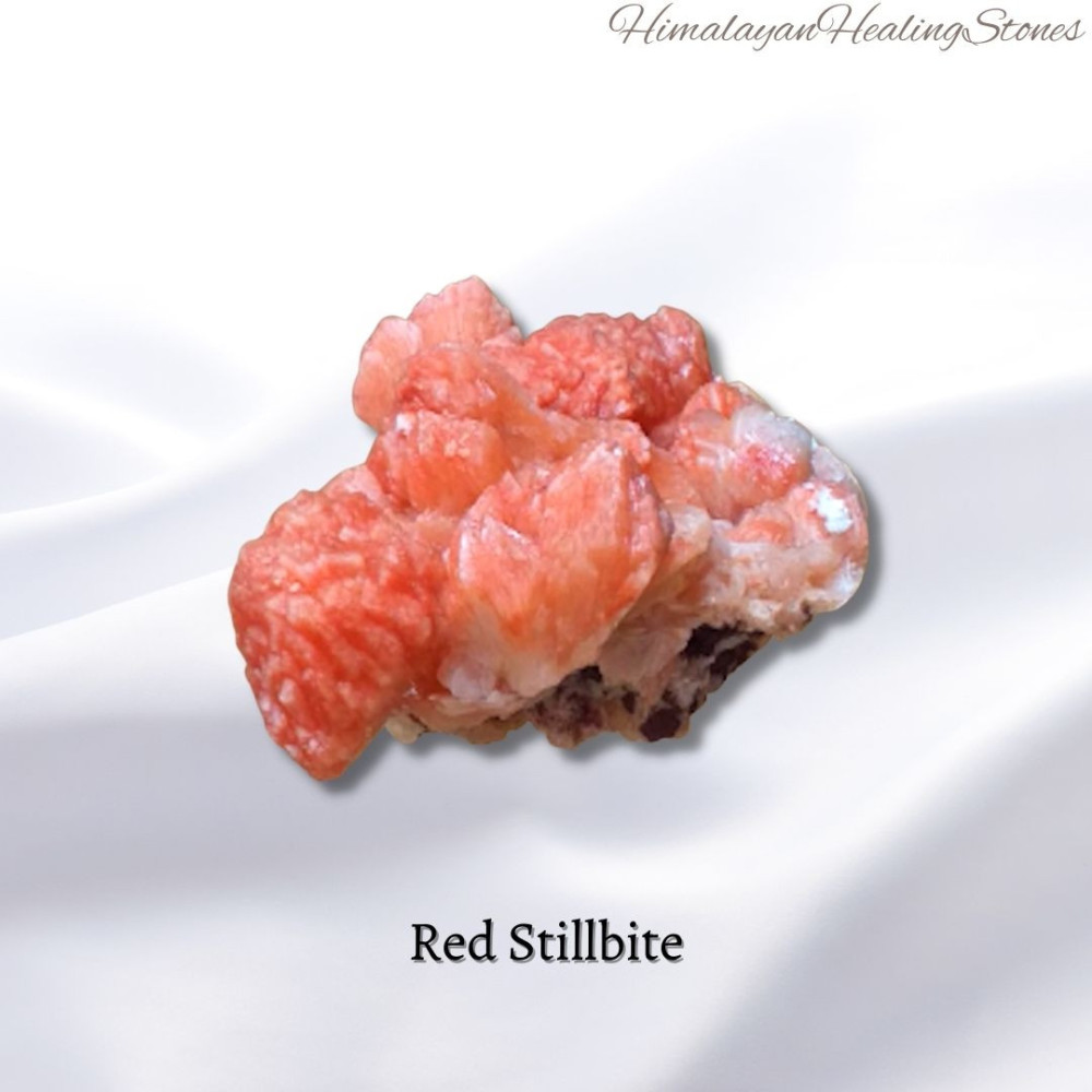 Red Stillbite